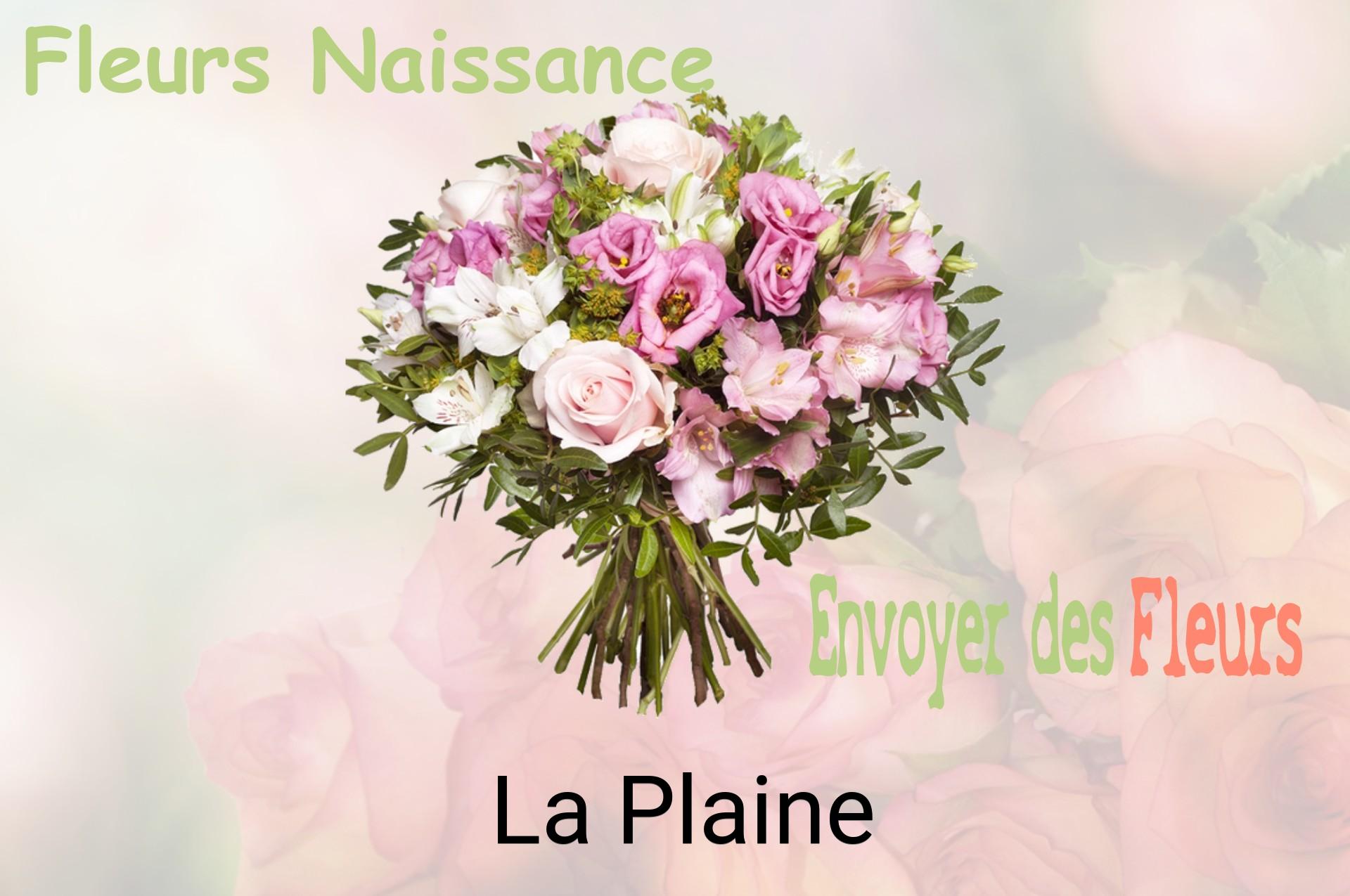 Bouquet de fleurs de naissance livré à La Plaine
