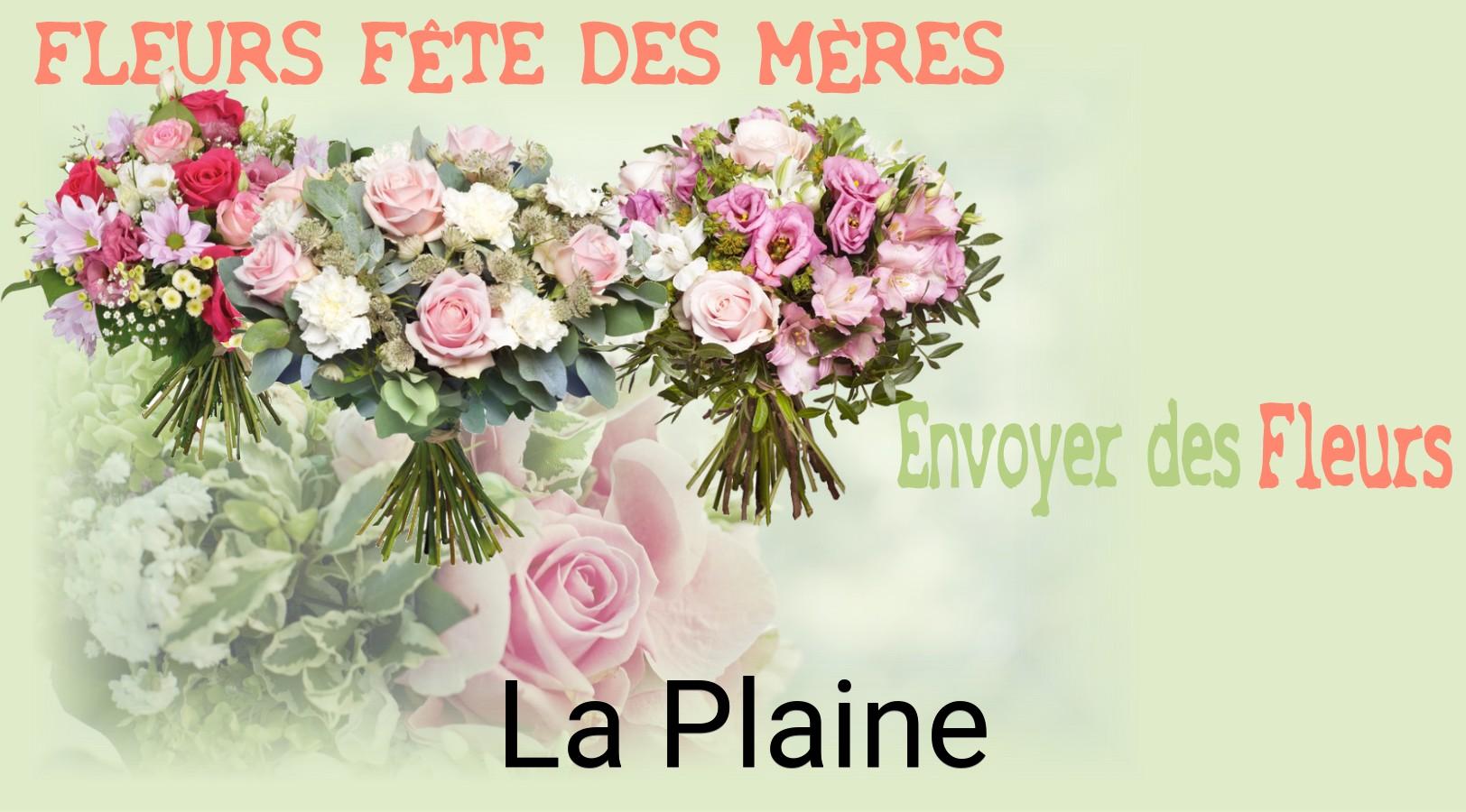 Bouquet de Fête des Mères livré à La Plaine
